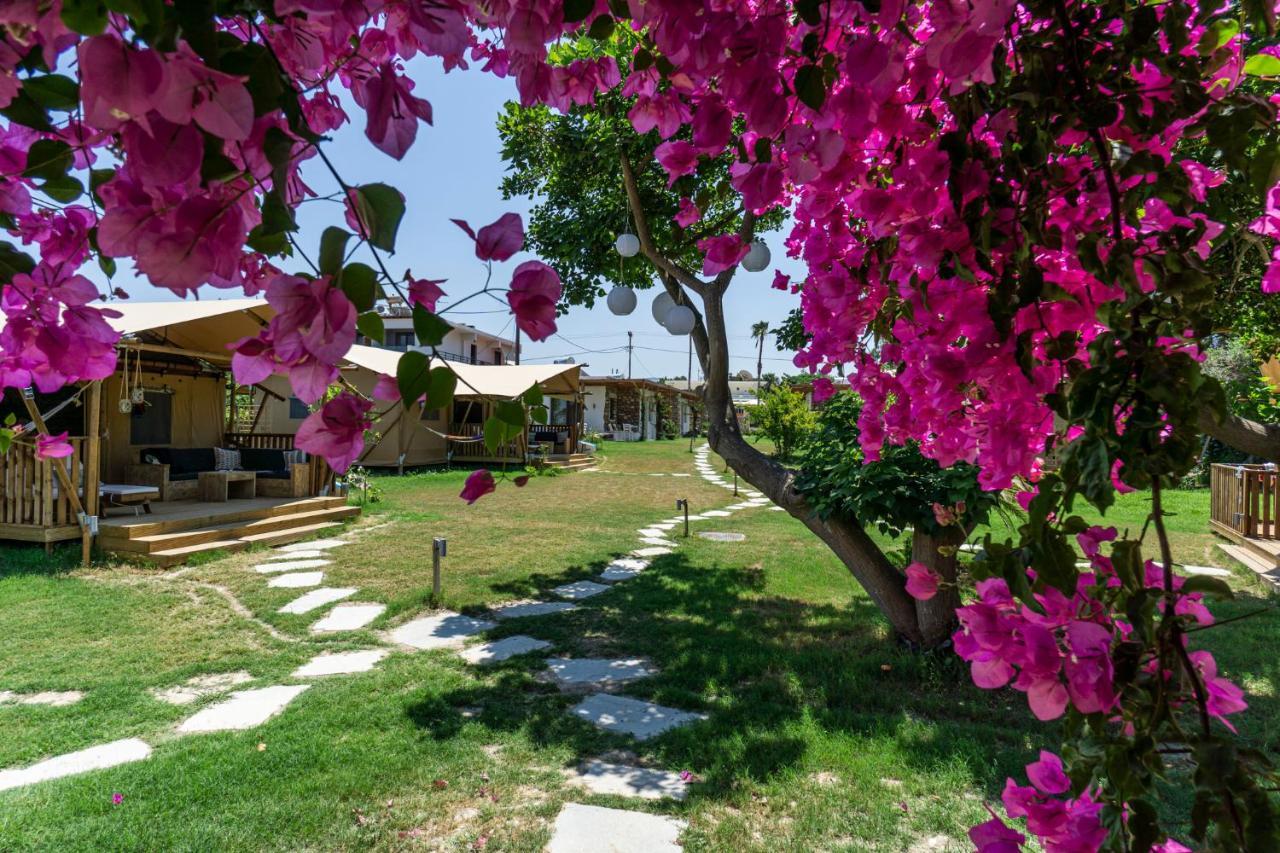 Logos Beach Village Θεολόγος Εξωτερικό φωτογραφία